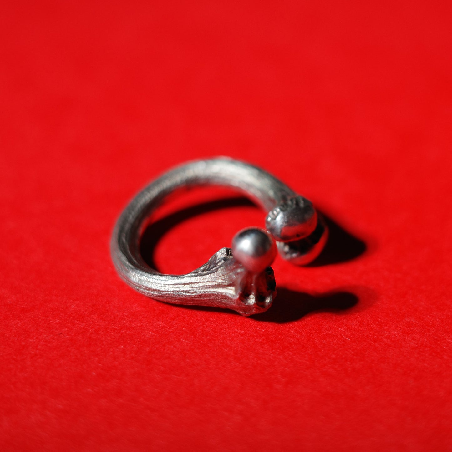 FEMUR BONE RING